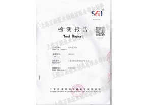水環(huán)式真空泵檢測(cè)報(bào)告